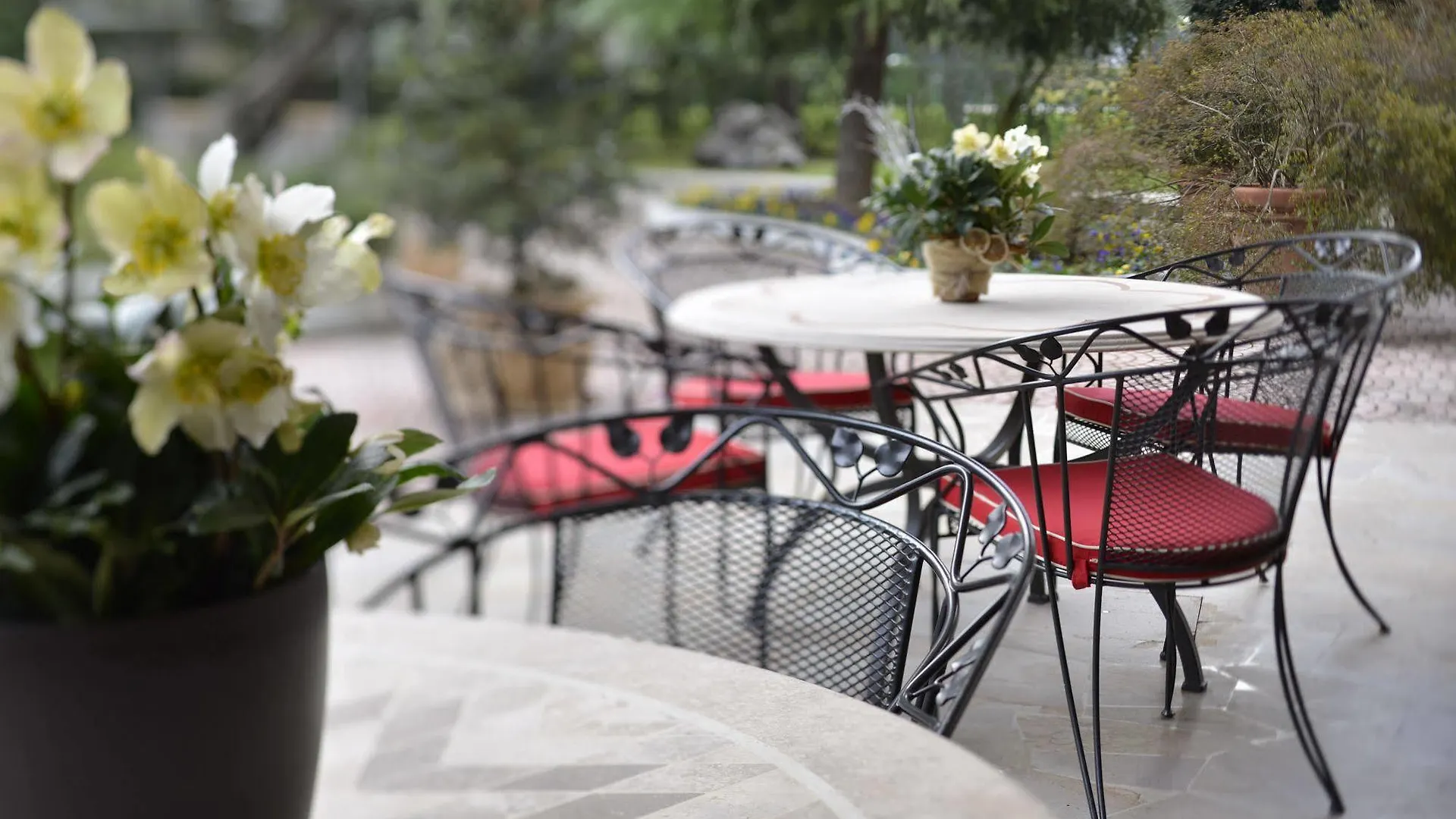Hotel Apollo Terme Montegrotto Terme